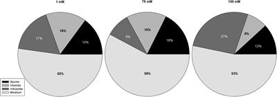 Arbuscular Mycorrhizal Fungi Confer Salt Tolerance in Giant Reed (Arundo donax L.) Plants Grown Under Low Phosphorus by Reducing Leaf Na+ Concentration and Improving Phosphorus Use Efficiency